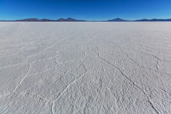 img49.jpg