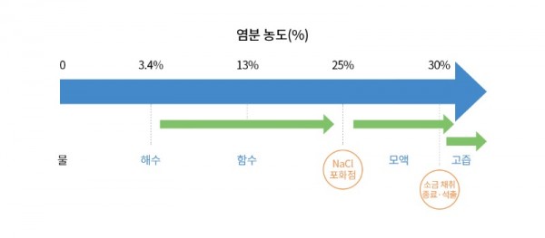 graph05.jpg