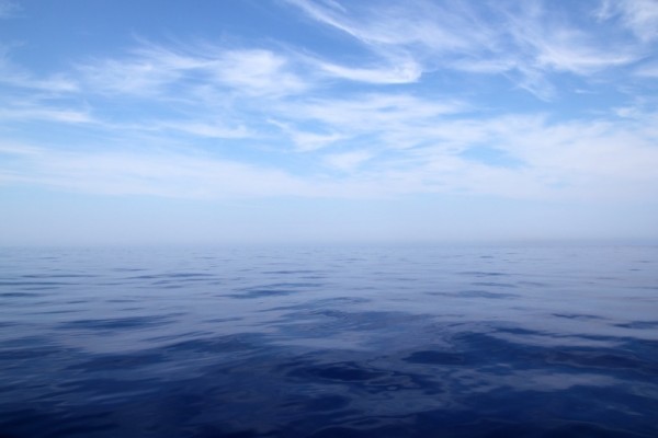 img46.jpg