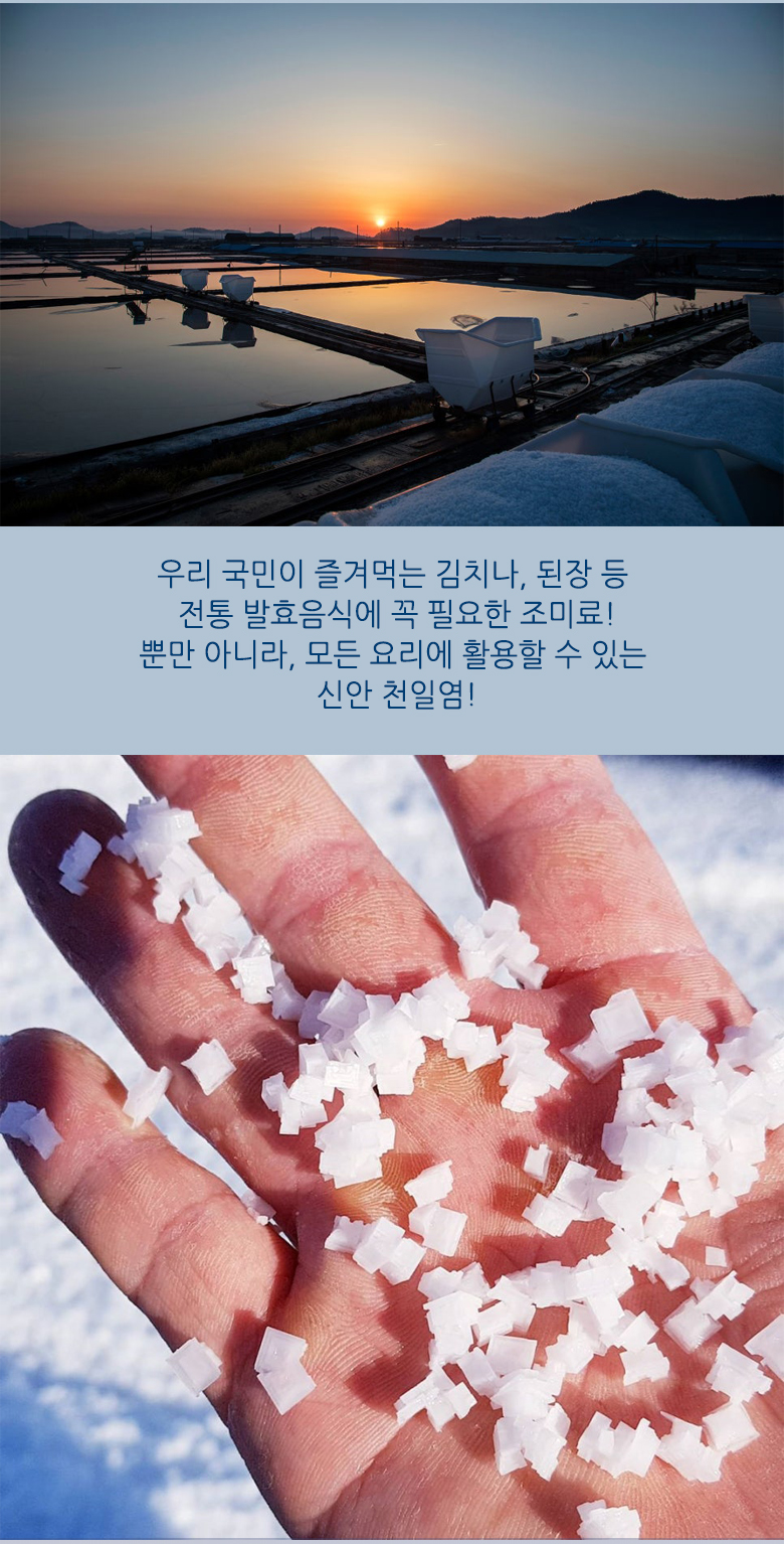 shinan-sal-05.jpg